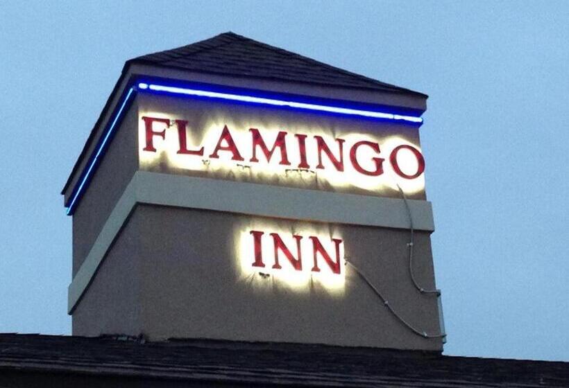 مُتل Flamingo Inn