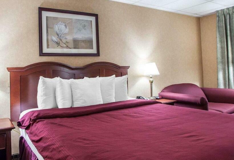 ホテル Clarion  Palmer Inn