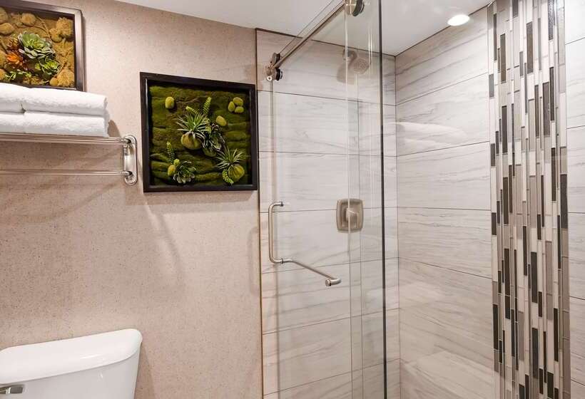 هتل Aiden By Best Western St George