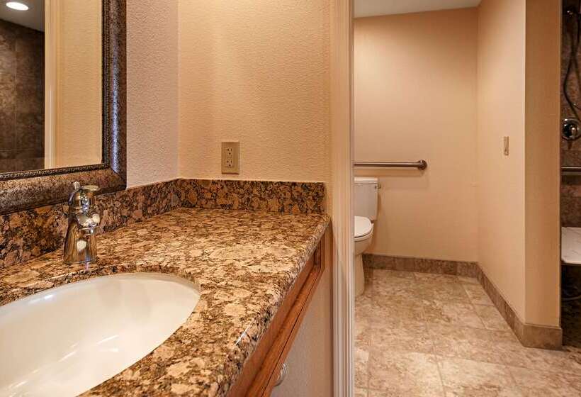 هتل Best Western Plus A Wayfarer S Inn & Suites