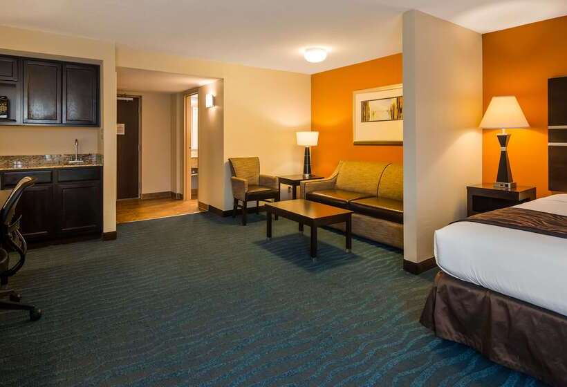 هتل Holiday Inn & Suites Columbia Ne   Ft Jackson Area By Ihg