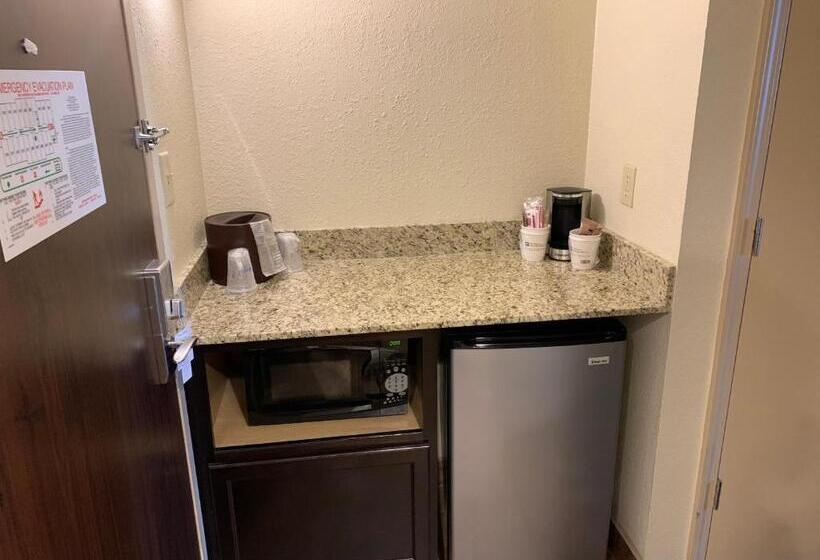 هتل Holiday Inn & Suites Columbia Ne   Ft Jackson Area By Ihg