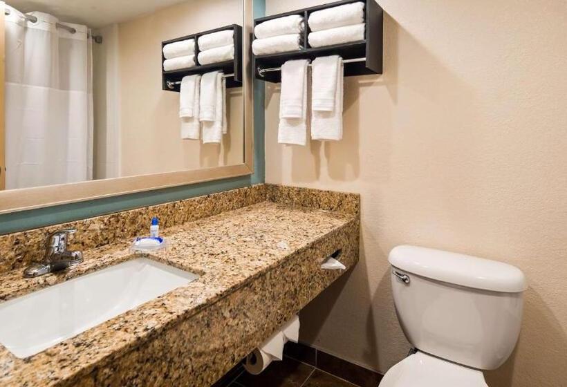 هتل Holiday Inn & Suites Columbia Ne   Ft Jackson Area By Ihg