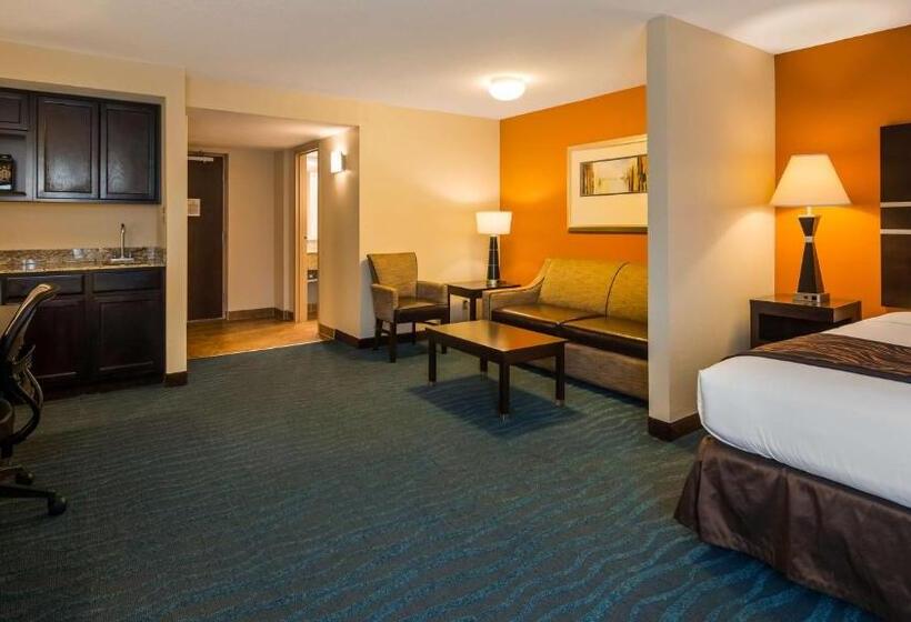 هتل Holiday Inn & Suites Columbia Ne   Ft Jackson Area By Ihg