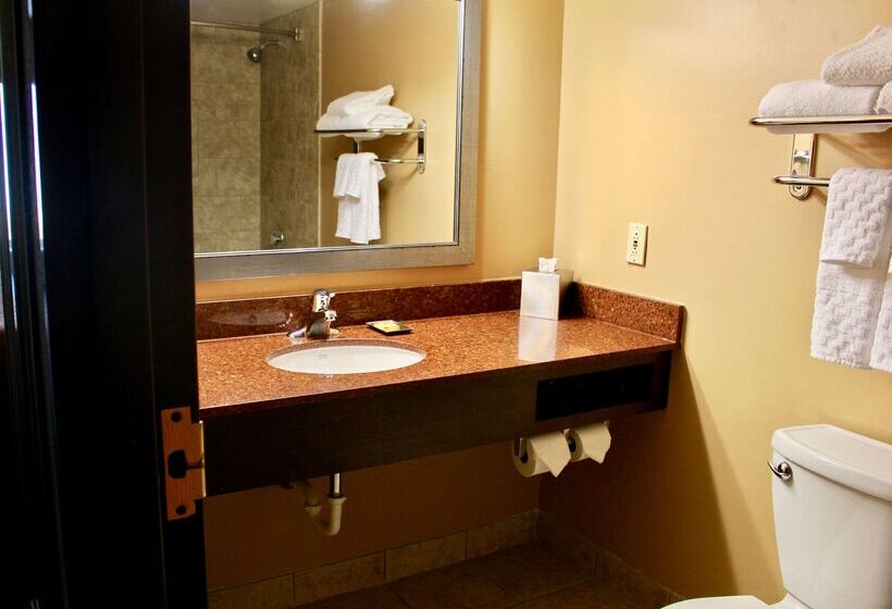 هتل Best Western Plus Dakota Ridge