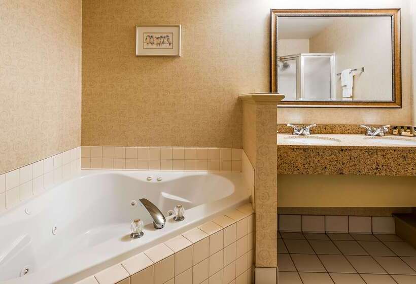 ホテル Best Western Plus Revere Inn & Suites