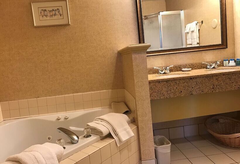 ホテル Best Western Plus Revere Inn & Suites