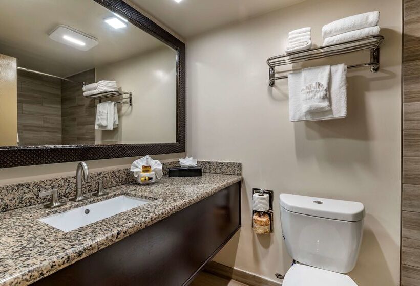 酒店 Best Western Plus South Bay