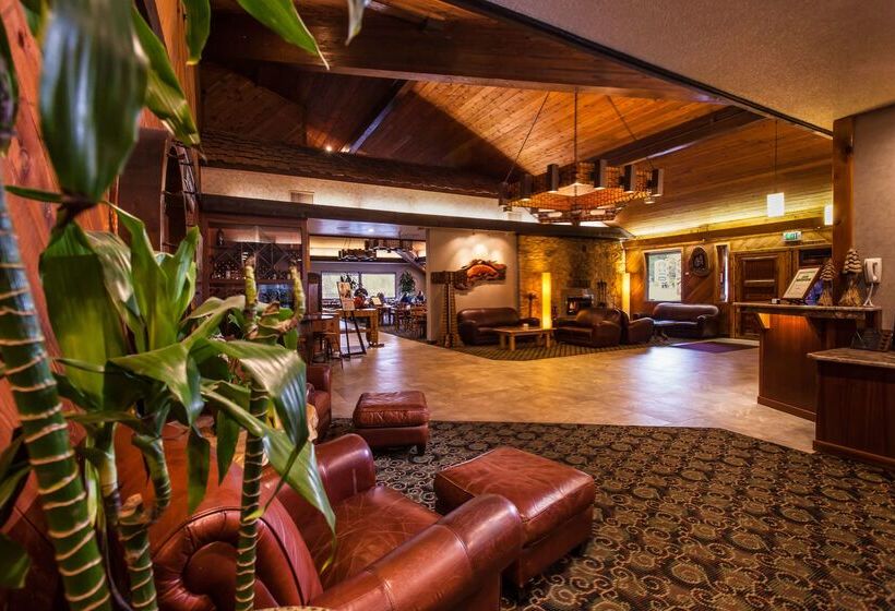 Отель Best Western Plus Tree House