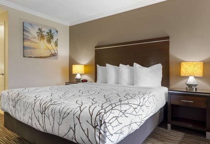 Best Western Redondo Beach Galleria Inn Hotel Beach City La