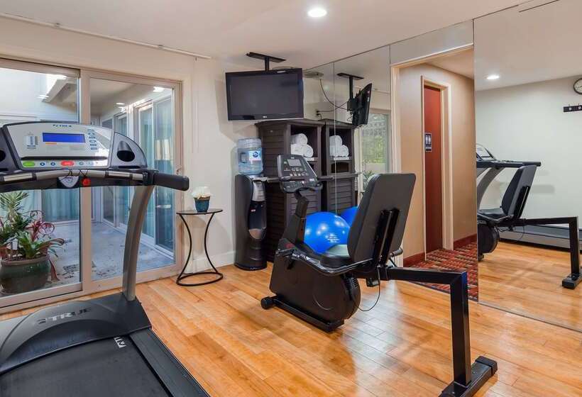 فندق Best Western Royal Palace Inn & Suites