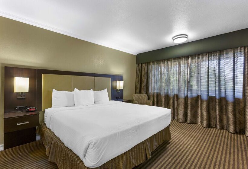 Hotel Best Western Royal Sun Inn And Suites