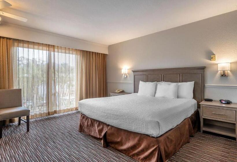 酒店 Best Western San Marcos Inn
