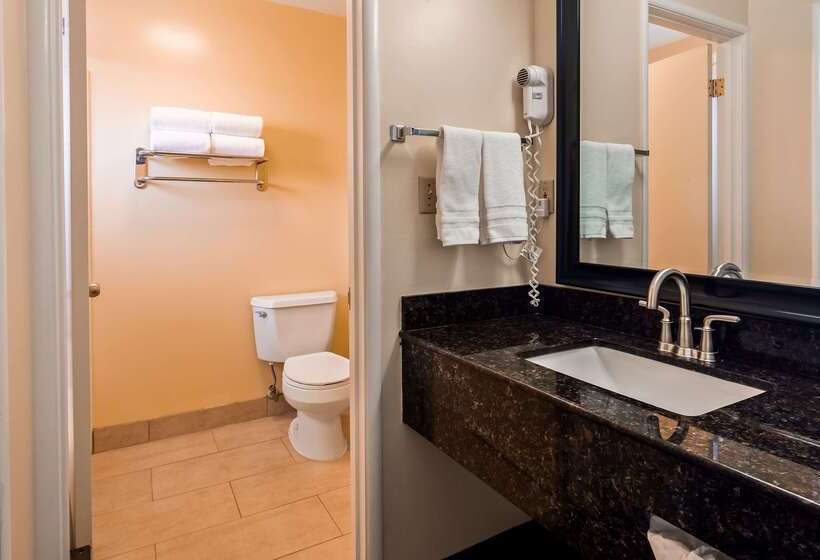 فندق Best Western Vista Manor Lodge