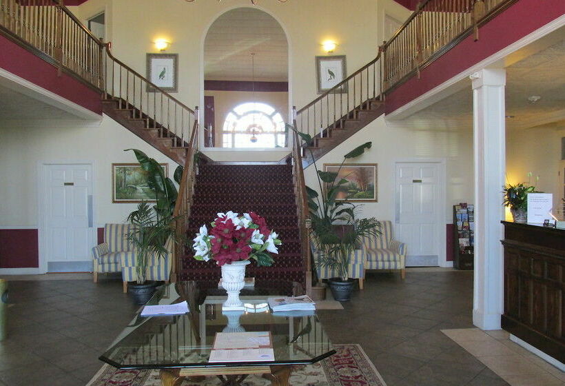 호텔 White Columns Inn