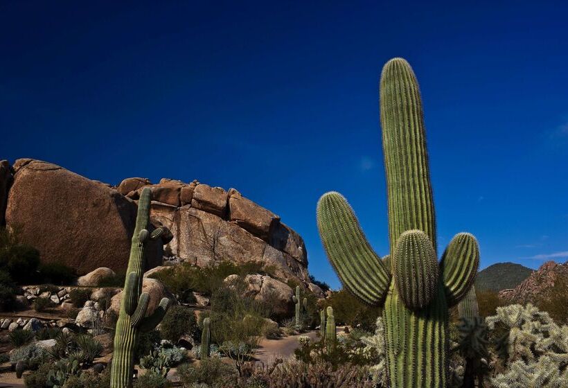 هتل Boulders Resort & Spa Scottsdale, Curio Collection By Hilton