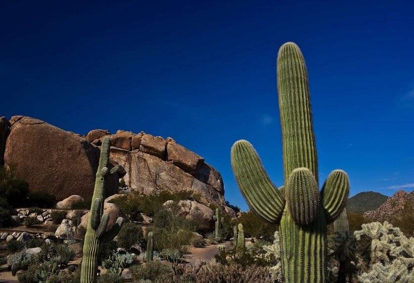 هتل Boulders Resort & Spa Scottsdale, Curio Collection By Hilton