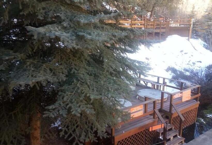 هتل Box Canyon Lodge And Hot Springs