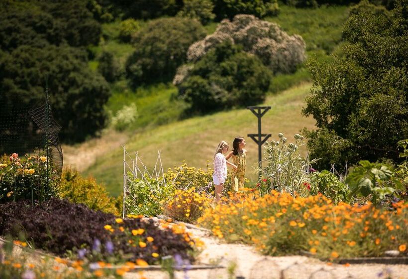 هتل Carmel Valley Ranch, In The Unbound Collection By Hyatt