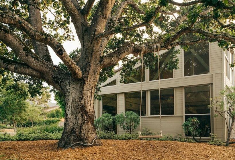 هتل Carmel Valley Ranch, In The Unbound Collection By Hyatt