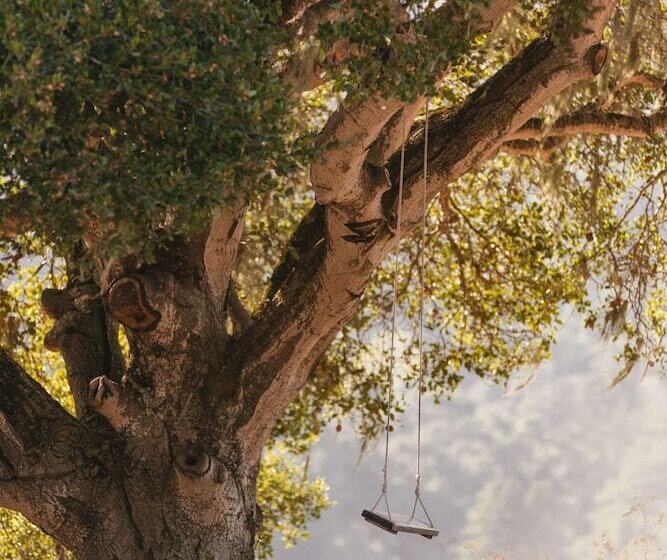 هتل Carmel Valley Ranch, In The Unbound Collection By Hyatt