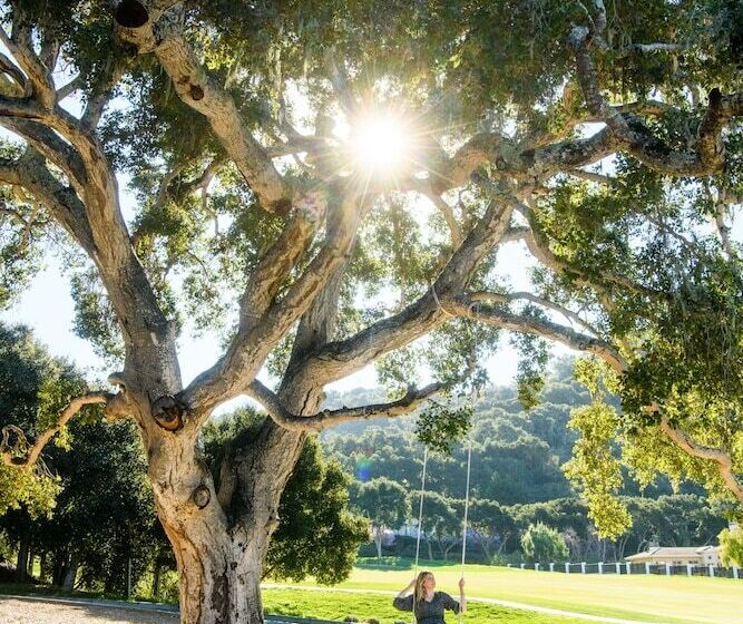 هتل Carmel Valley Ranch, In The Unbound Collection By Hyatt