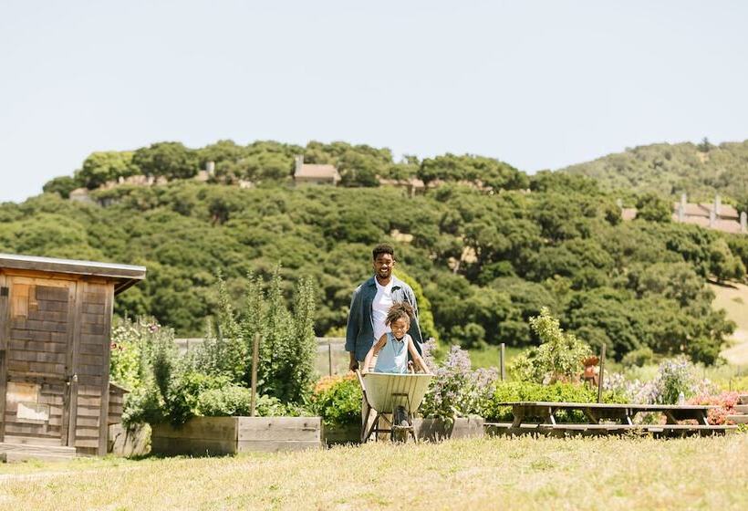 هتل Carmel Valley Ranch, In The Unbound Collection By Hyatt