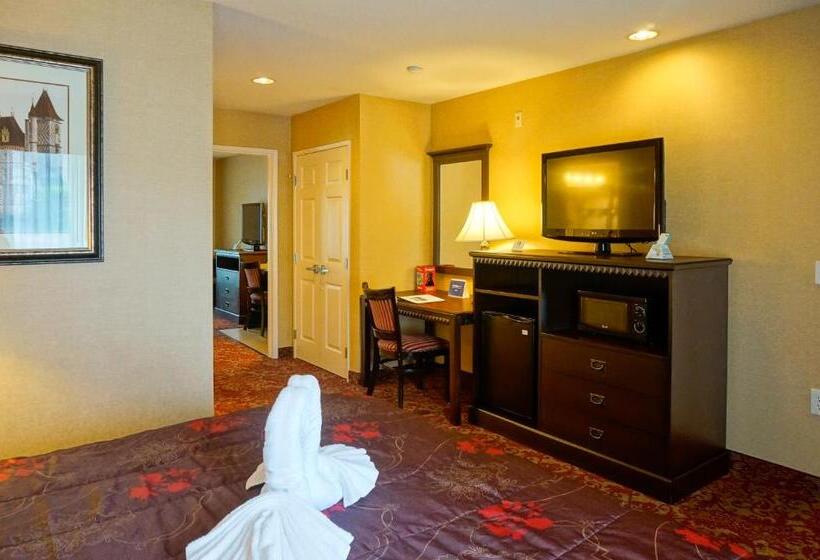 Отель Castle Inn And Suites Anaheim