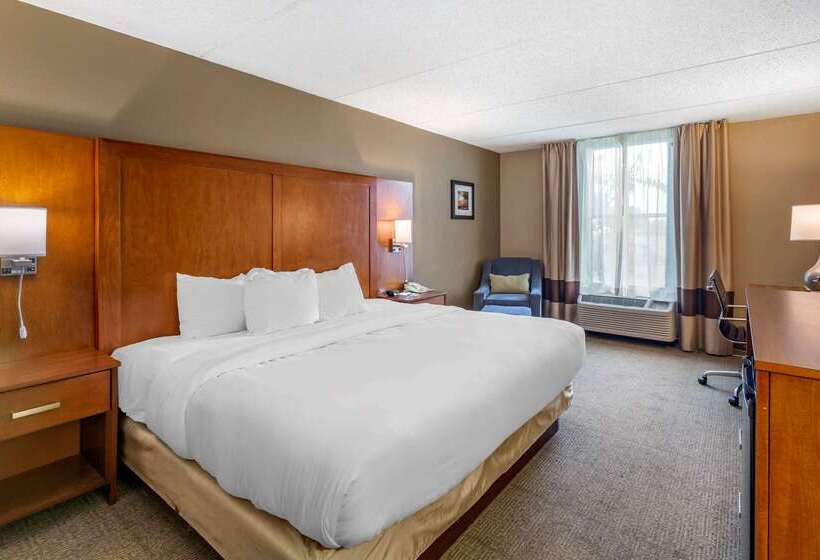 호텔 Comfort Inn