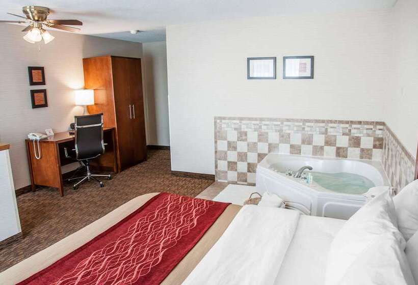 Otel Comfort Inn