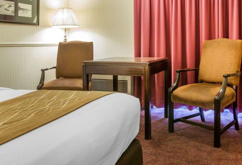 هتل Comfort Inn Lakeside