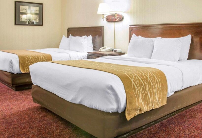 هتل Comfort Inn Lakeside