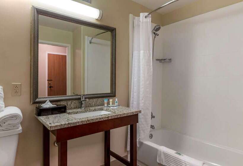 酒店 Comfort Inn Laurinburg