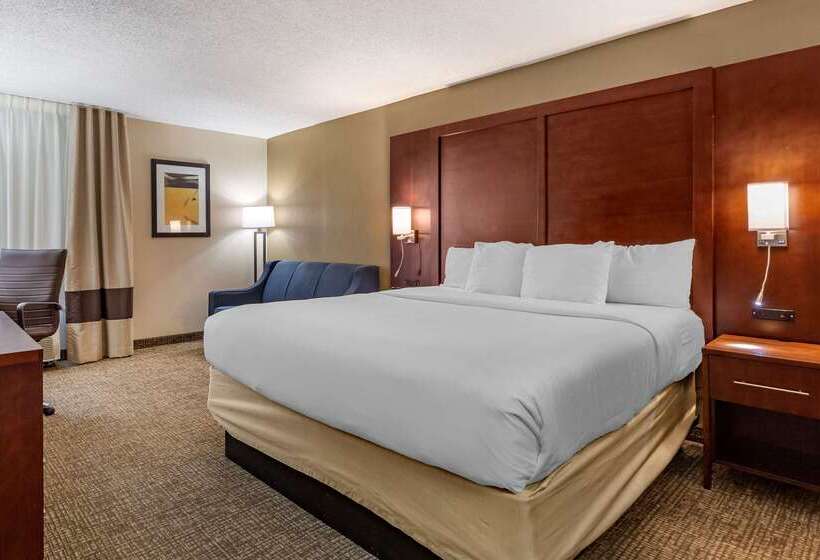 酒店 Comfort Inn Laurinburg