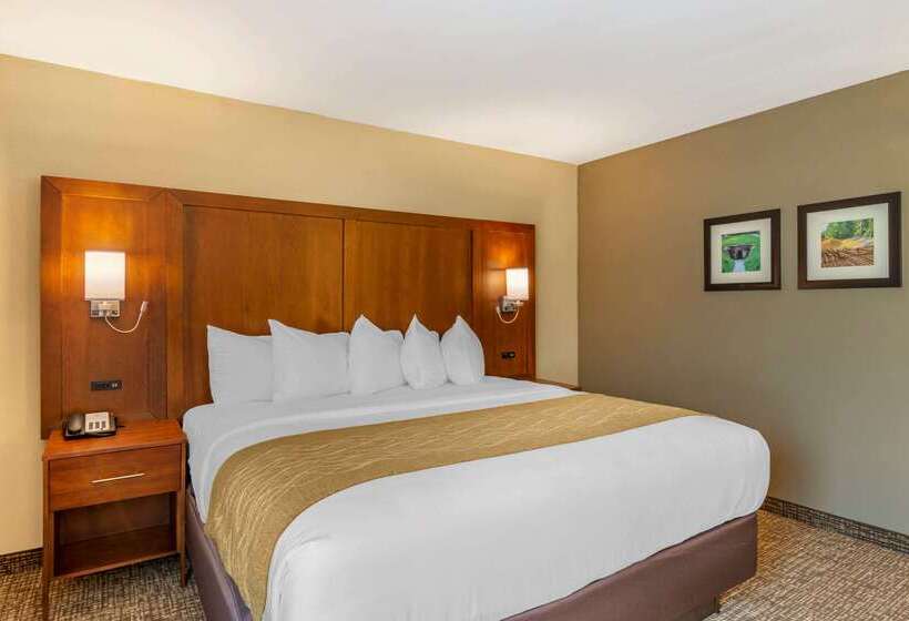 هتل Comfort Inn Petersburg Near Fort Greggadams
