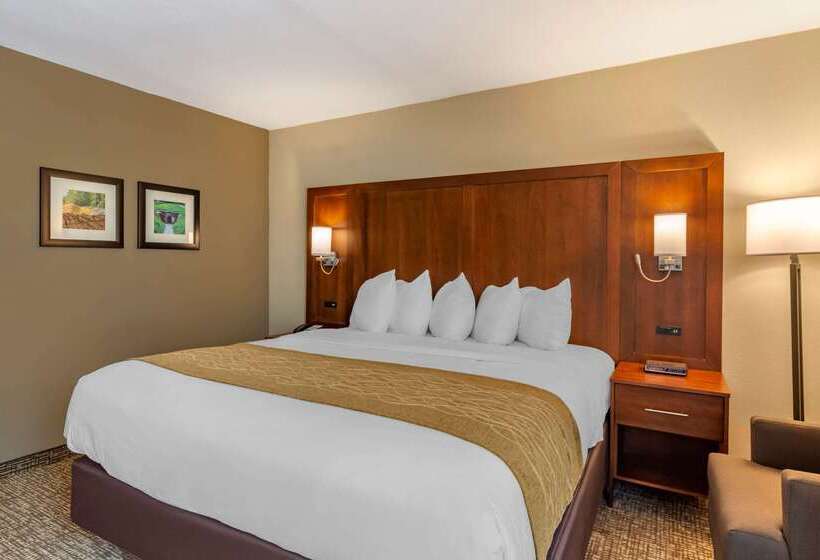 هتل Comfort Inn Petersburg Near Fort Greggadams