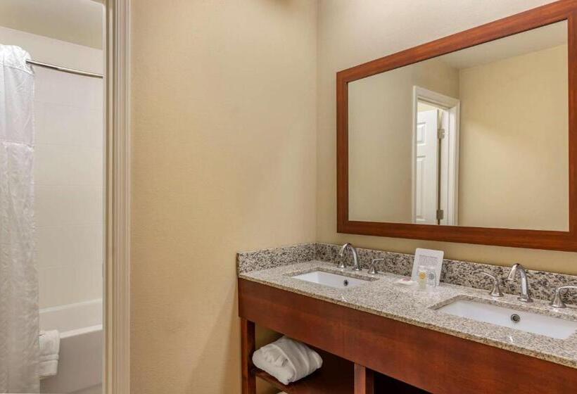 هتل Comfort Inn Petersburg Near Fort Greggadams