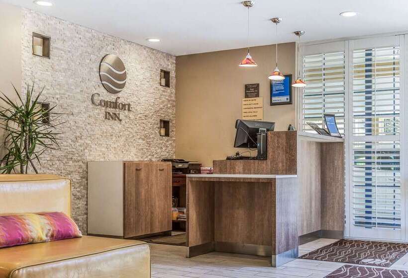 ホテル Comfort Inn Santa Cruz