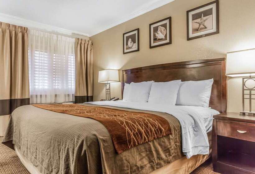 هتل Comfort Inn