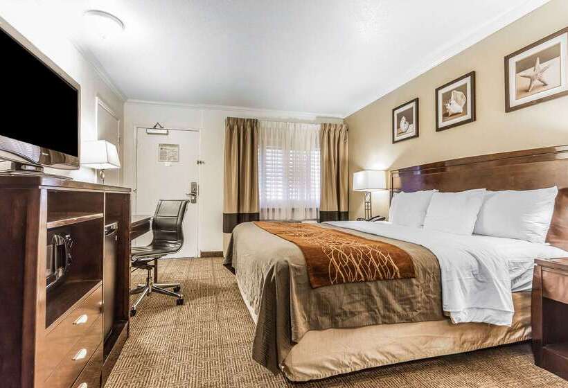 هتل Comfort Inn