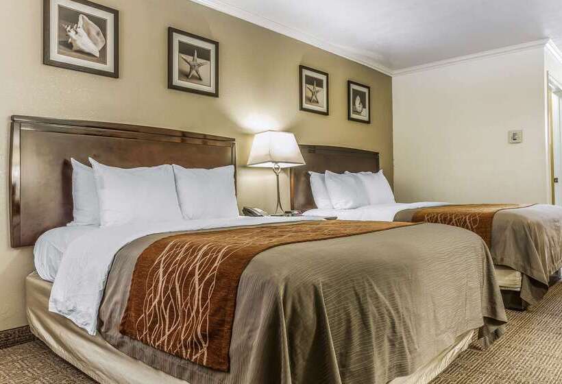 هتل Comfort Inn