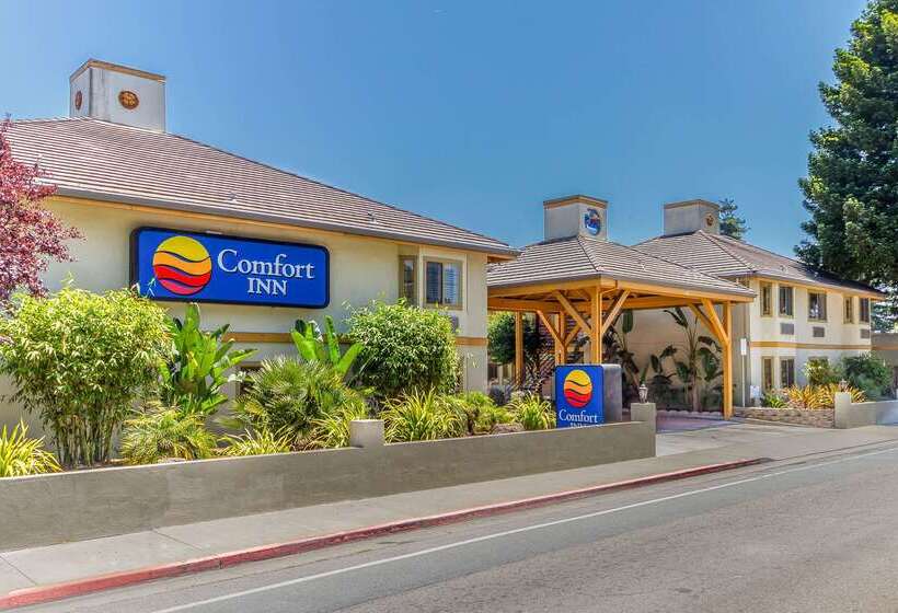 ホテル Comfort Inn Santa Cruz