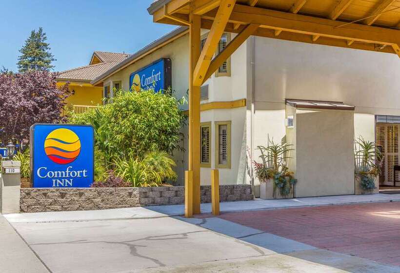 ホテル Comfort Inn Santa Cruz