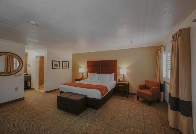 هتل Comfort Inn