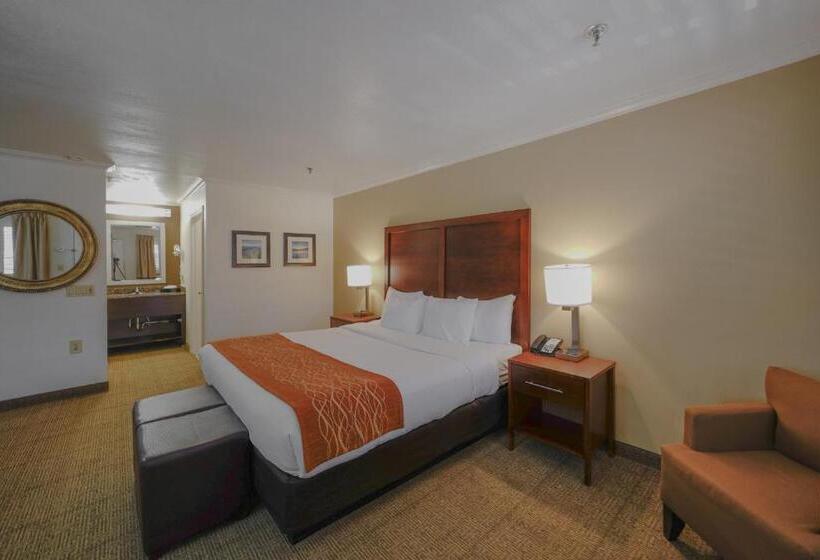 هتل Comfort Inn