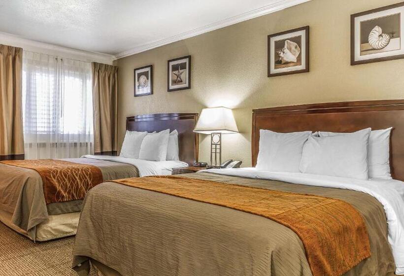 هتل Comfort Inn