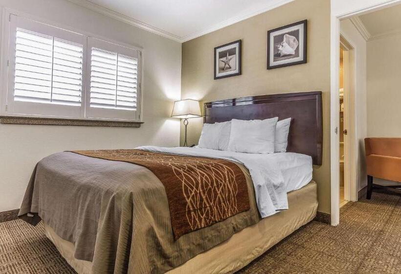 هتل Comfort Inn