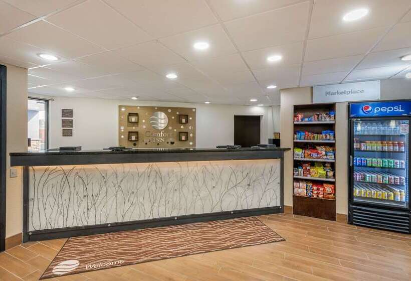 هتل Comfort Inn South