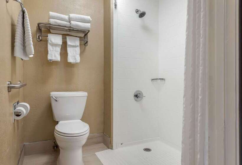 هتل Comfort Inn South