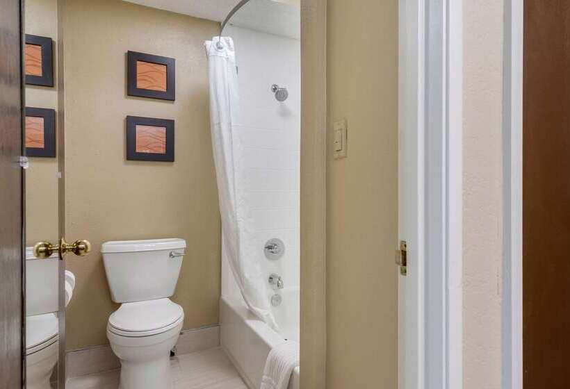 هتل Comfort Inn South